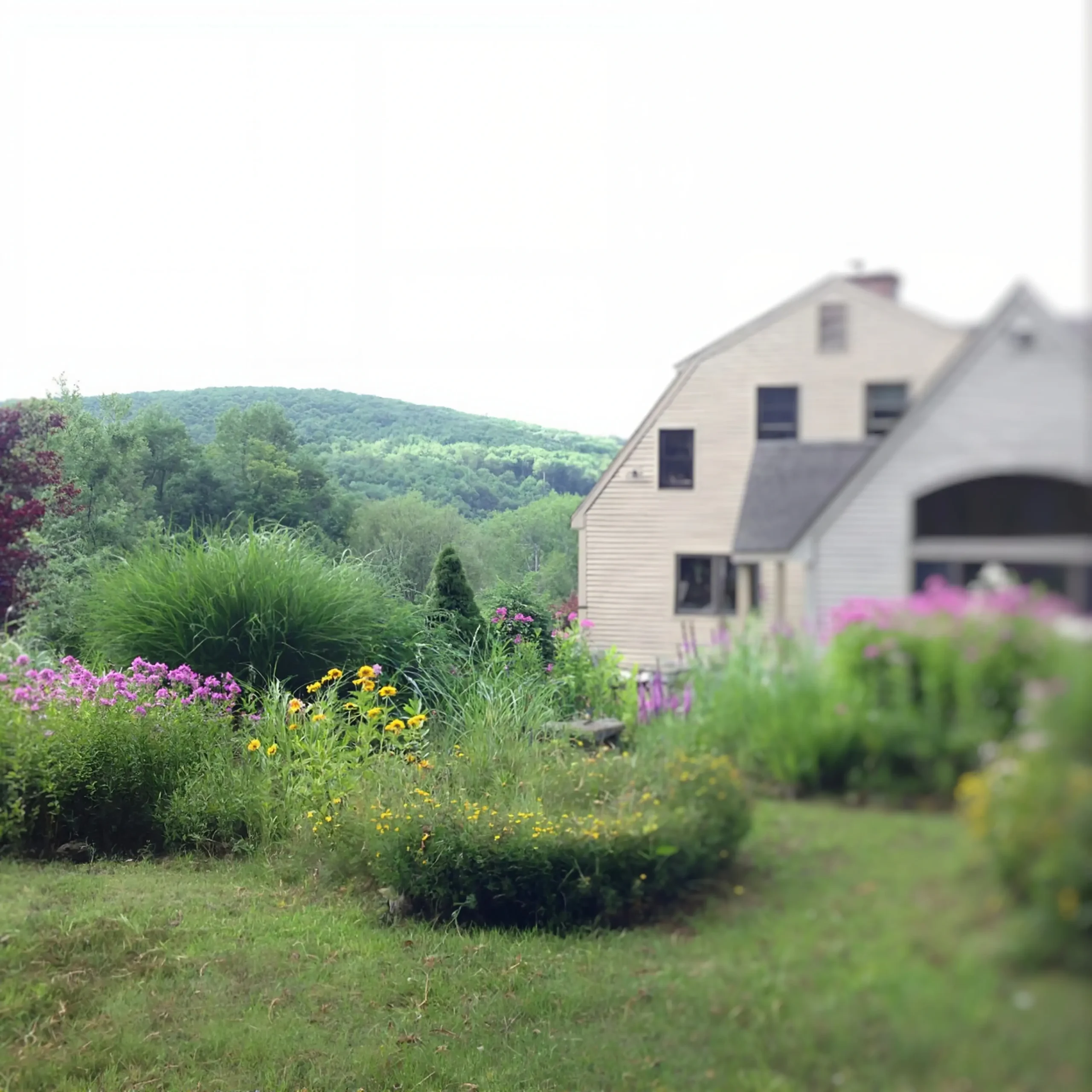 About Kathy Cady Hillside Ceramics hillside summer