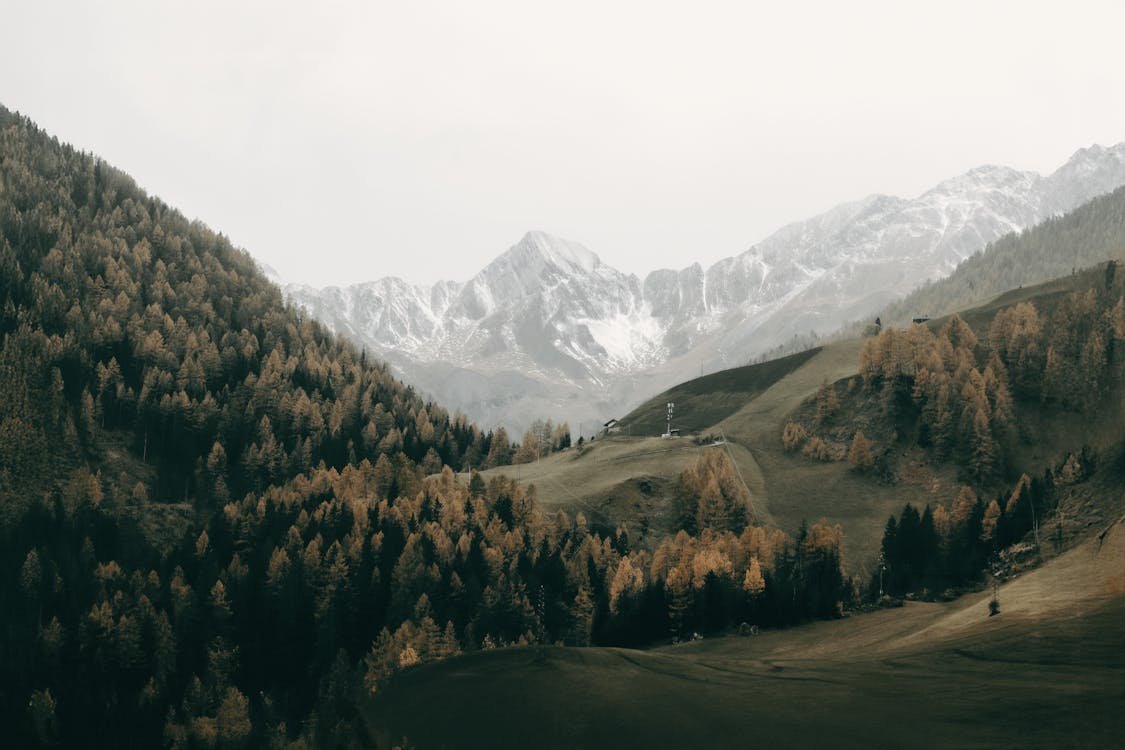 Kathy Cady Hillside Ceramics Stk Design Library Image 2